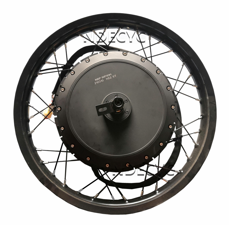 US Stock NBpower/QS V3 273 40H - огляд і ціна Qs Motor 273 8000W Hub Motor